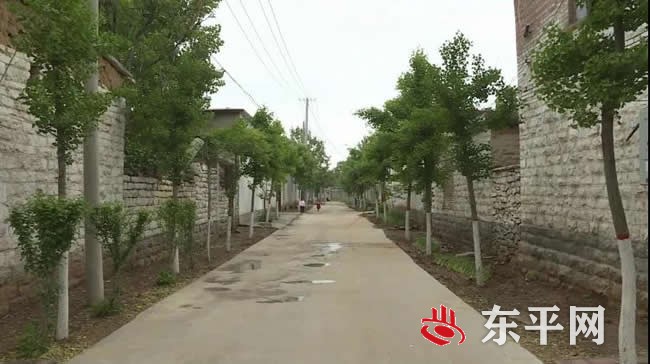 大羊镇：聚力“四化”美庭院　专班推进助脱贫