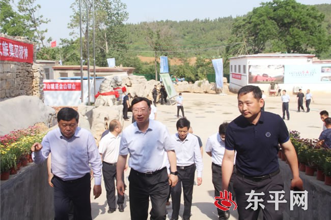 张涛来东平县调研朝阳庄国际旅游度假区项目建设 召开金山坝加高培厚工程建设调度会