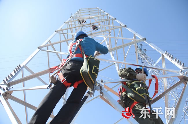 东平供电公司全力推进电网建设