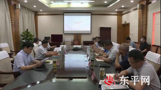 东平县召开红色民国影视城项目初步方案汇报会