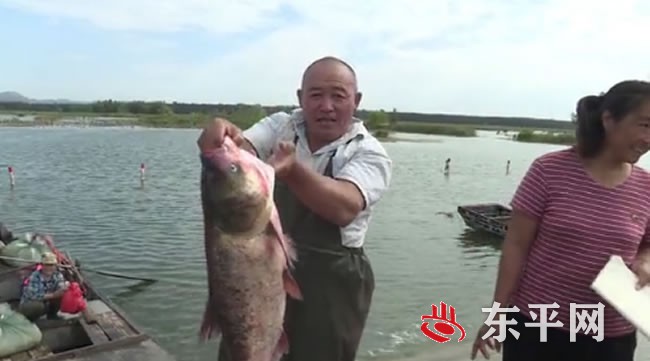 东平湖结束封湖禁渔期 湖区渔民迎来丰收季