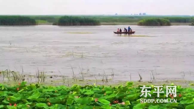 东平滨湖国家湿地公园通过国家级验收