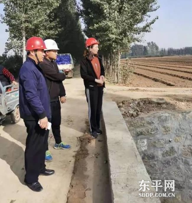 水利战场“女人花”——东平县水利局吕杰