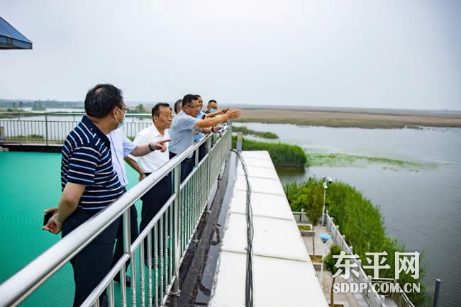 东平湖文化旅游产业高质量发展座谈会召开