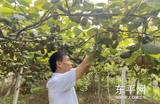 梯门镇东沟流村党支部书记武传柱