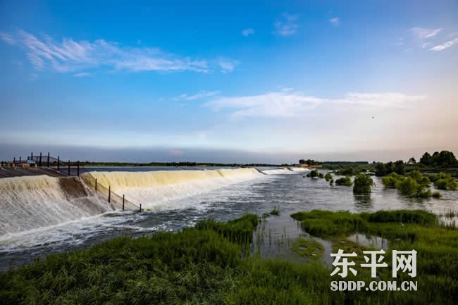 东平湖景区第九届百艺文化节火爆开幕