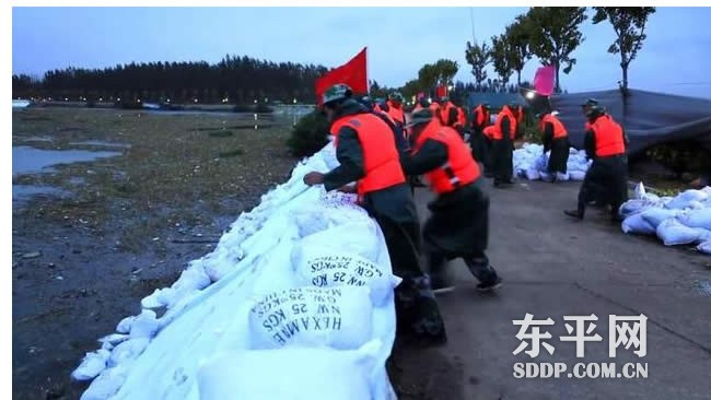 东平县严防死守 坚决打赢金山坝保卫战