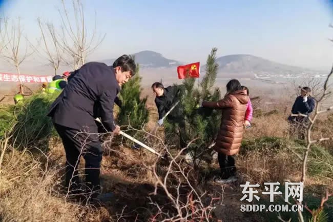 东平县金山生态修复项目临时党支部揭牌