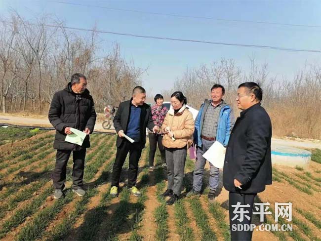 东平街道当好“三大员” 吹响小麦春季管理“集结号”