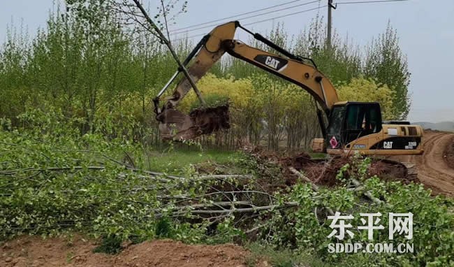 大羊镇全力抓好“大项目” 工作迈上“大台阶”