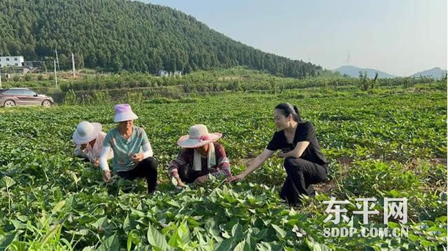 旧县乡王古店五村女青年潘婷