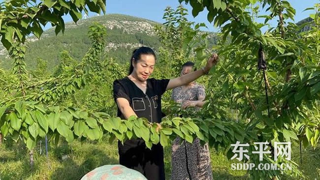 旧县乡王古店五村女青年潘婷