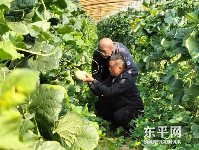 沙河站镇党委建在田间 服务走进地头