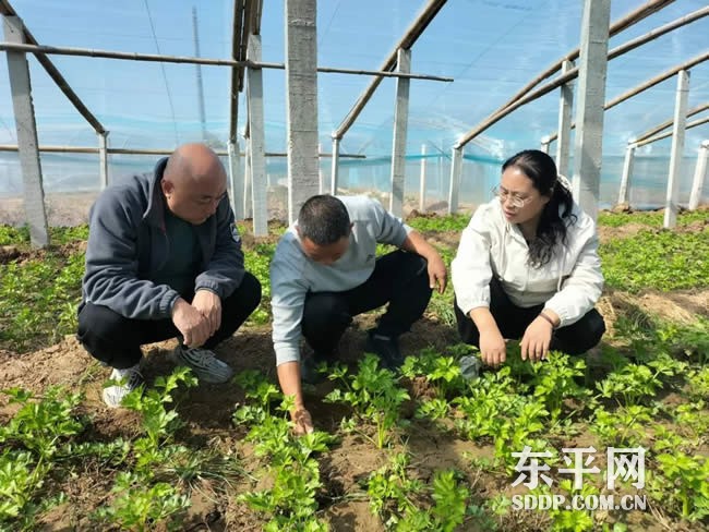 沙河站镇党委建在田间 服务走进地头