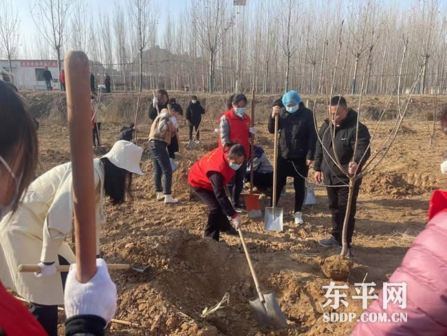 银山镇：组织开展“扮靓乡村·植树护林”活动