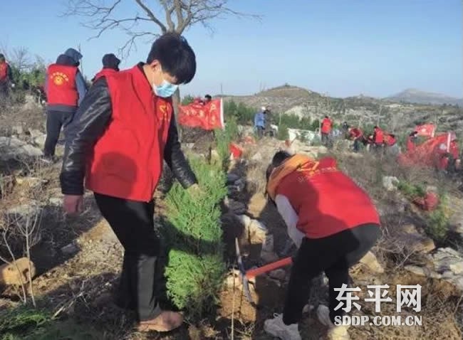 东平团县委组织开展“我为黄河种棵树”志愿服务活动