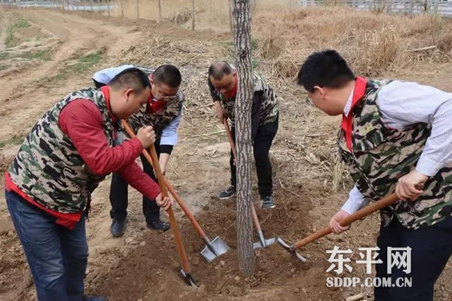 州城街道退役军人开展植树志愿服务活动