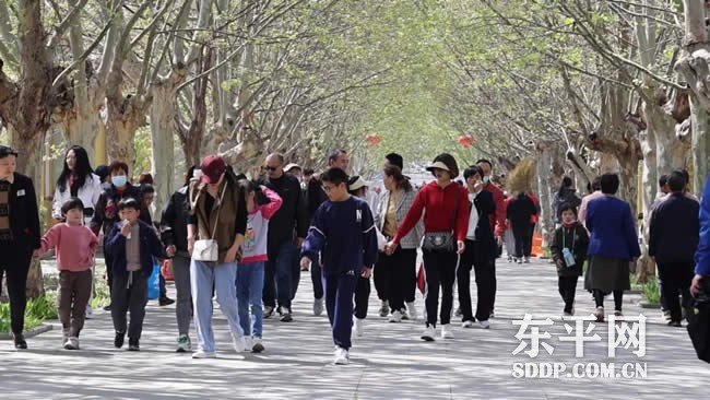 白佛山景区免费开放 市民踏青游园乐享春色