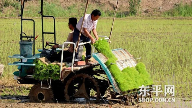 商老庄乡发展稻虾套养、藕虾混养、特色水产三大主导产业