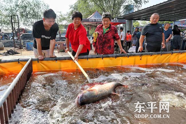 2023 中国•东平首届东平湖开湖节正式启动