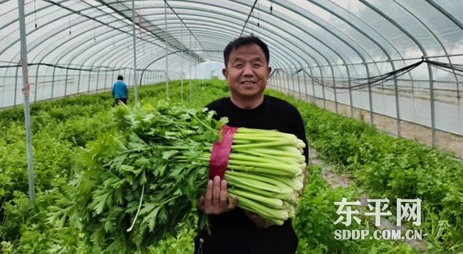 大羊镇张村种植户卞永平