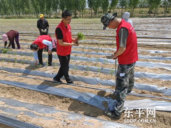 斑鸠店镇东庞口村党支部书记庞伟