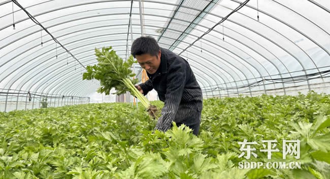 大羊镇马楼村村民马红雨