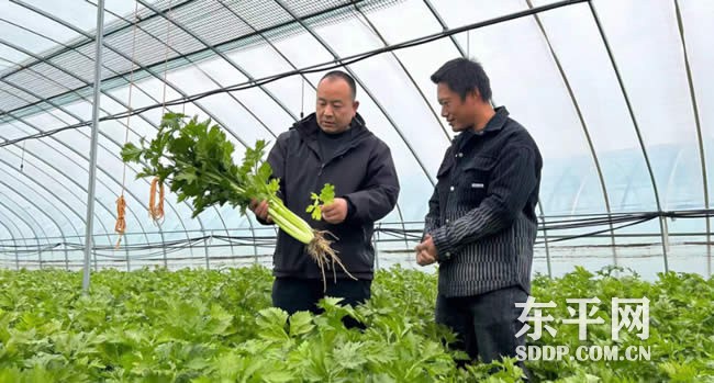 大羊镇马楼村马红雨